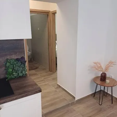 Central Vita Apartment *